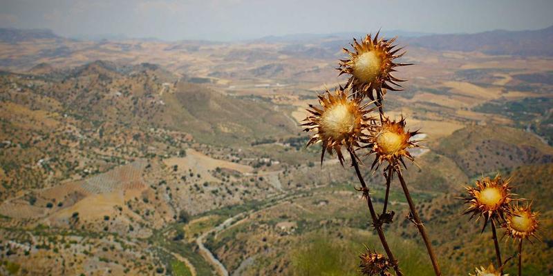 V分吧86：当赛博朋克美学照进现实，一个垂直兴趣社区的社交革命