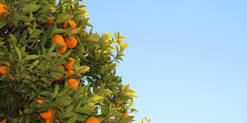 V分吧与Web3数字身份整合：重塑社交平台与线上社区的未来