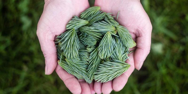 V分吧与元宇宙社交的融合：虚拟积分如何重塑线上兴趣社区消费生态