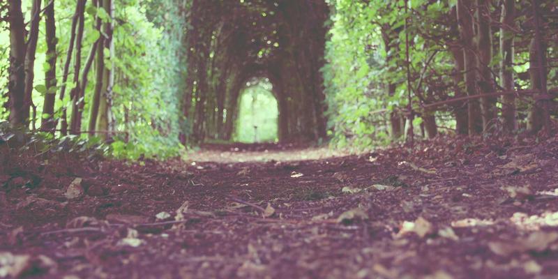 V分吧创作者激励计划：赛博朋克式虚拟积分如何重塑兴趣社区内容生态