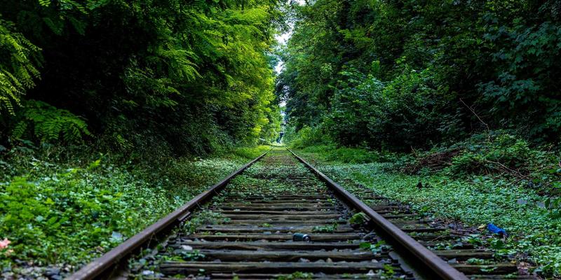 V分吧：当兴趣社区邂逅未来科技，数字社交的下一站在何方？