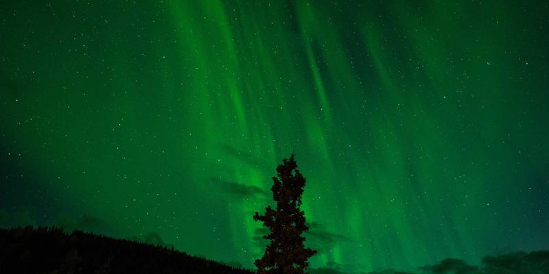 V分吧数据仪表盘解析：在赛博朋克时代可视化管理你的数字社交资产与影响力