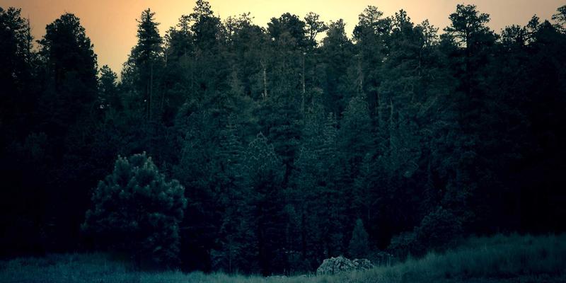 从零到一：V分吧社区如何构建高粘性未来科技与赛博朋克线上社群