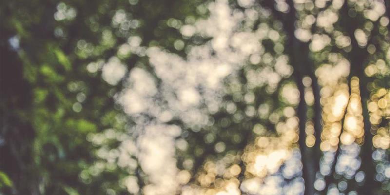 从零构建高活跃度赛博朋克社群：V分吧兴趣社区冷启动实战策略