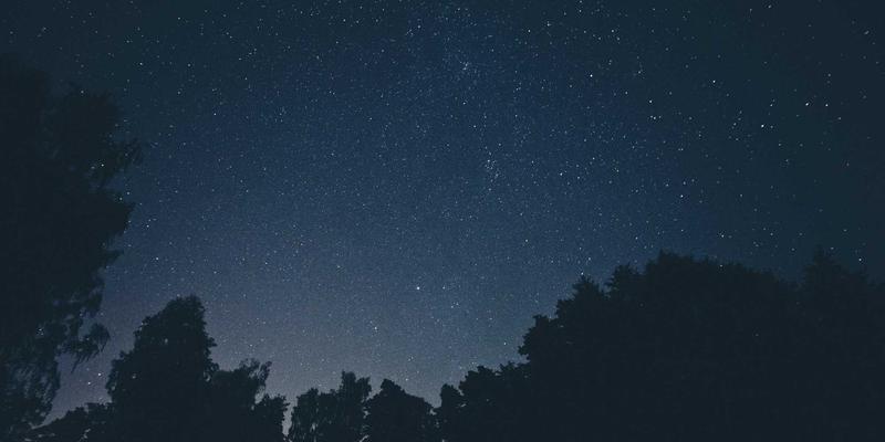 未来科技社区冷启动秘籍：V分吧如何用赛博朋克积分经济引爆首批用户