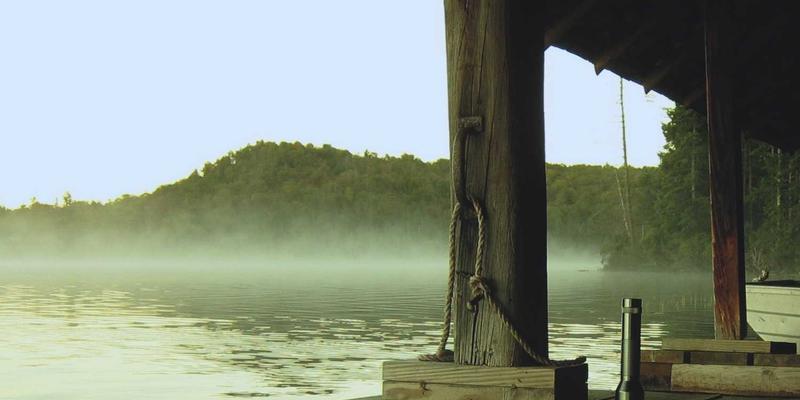 未来科技社区治理新范式：V分吧如何通过行为分析与代币权重防范女巫攻击