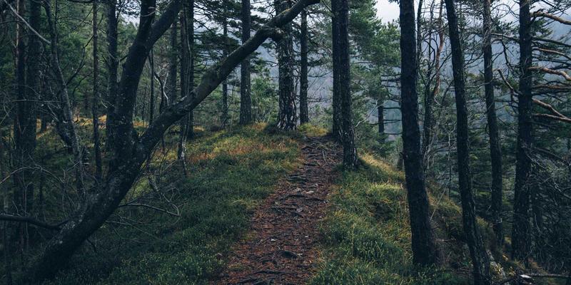 未来科技赋能线上社区：V分吧积分体系的通缩模型如何锚定虚拟资产长期价值