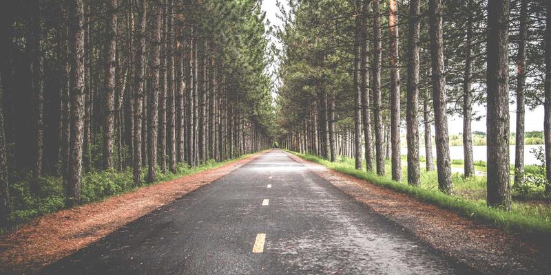 赛博朋克社交平台V分吧：线上社区圈层文化的形成与激励机制探秘